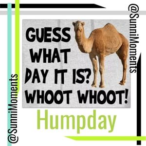 🐫 Humpday Wednesday